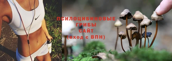 первитин Абаза