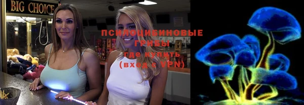 амф Абинск