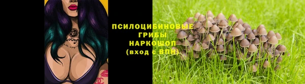 амф Абинск