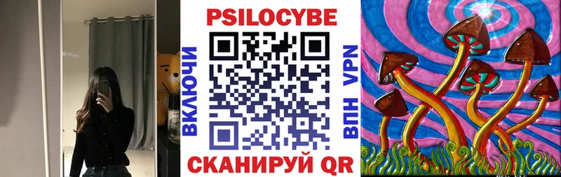 blacksprut рабочий сайт  Симферополь  Галлюциногенные грибы Psilocybe 